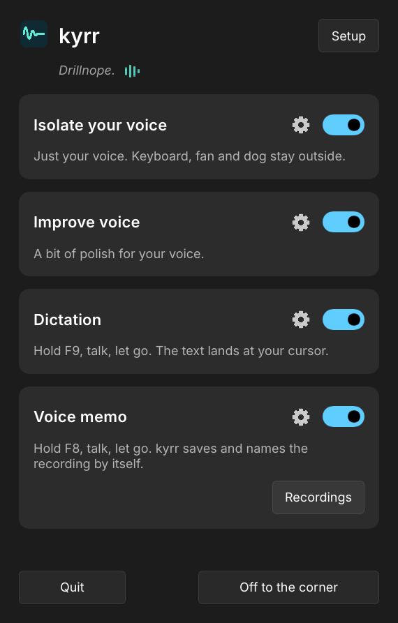kyrr's window: noise filter, improve voice and dictation, each with one switch and a gear for its settings